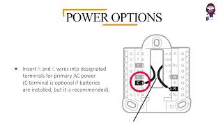 Honeywell T6 PRO Thermostat User Manual [upl. by Burlie]