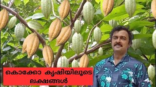 കൊക്കോ കൃഷിയിലൂടെ മികച്ച വരുമാനം How to cultivate cocoa chocolate Village Fruits Channel [upl. by Stacey182]