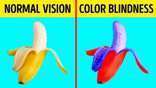 How Color Blind People See the World [upl. by Louanne541]