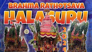 Halasuru Brahma Rathotsava 2024  Sri Someshwara Swamy Temple  someshwaratemple rathotsava [upl. by Salvidor]