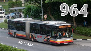 SMB8039Y  SMRT Bus Service 964 MAN NG363F [upl. by Zoila411]