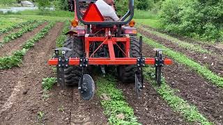 HILLING POTATOES  WHY  The Benefits  Grow Your Own Food  Disc Hiller [upl. by Coppola]