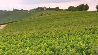 WineProducing Regions  Mosel Pfalz and Franconia  Discover Germany [upl. by Islaen]