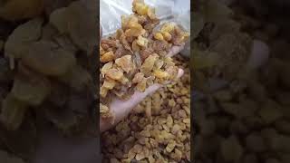 only wholesale dryfruits behala [upl. by Tunnell493]