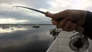 Wells Harbor Stripers [upl. by Viehmann]