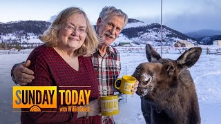 Fans in Wyoming take Sunday Mugshots with a fourlegged friend [upl. by Yroj]