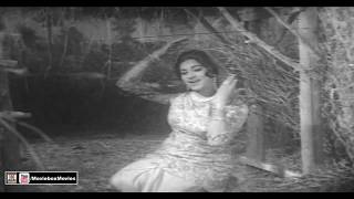 BAAZI JIT LAYI JIND PYAR DE NAVE Sper Hit  NOOR JEHAN  PAKISTANI FILM DULLA HAIDRI [upl. by Kosey]