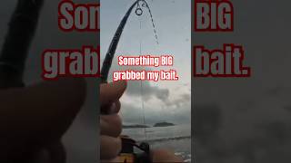 GIANT Fish Steals My Lure in Costa Rica [upl. by Uolymme]