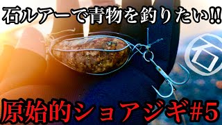 厳寒期の青物を仕留めるため石を投げ続けた魂の3日間【原始的ショアジギ5】 [upl. by Byrd557]