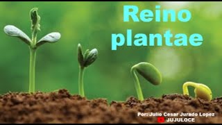 Reino plantae [upl. by Refotsirhc]