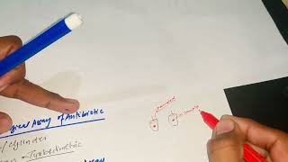 Bioassay of antibiotics [upl. by Bish531]