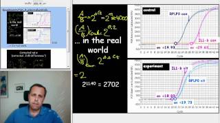 6 Quantitative PCR  the deltadeltaCt method [upl. by Ahsened]