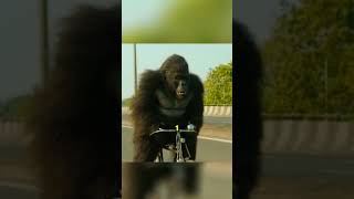 Le gorille 🦍 et son maître [upl. by Gertie]