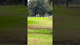 Squirrel Took My Golf Ball ⛳️ 🐿️ heartwell golf animals golfcart longbeach golfcart bogey [upl. by Tamar382]