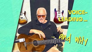 Composing On Guitar  Part 7  VOICELEADING amp WHY [upl. by Neelyk]