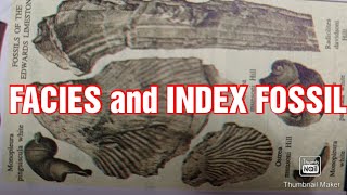 FACIES AND INDEX FOSSIL [upl. by Otho]