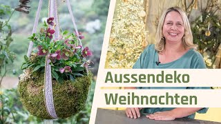 Weihnachtsdeko außen  Mooskugel Kokedama mit Christrosen [upl. by Orlina]