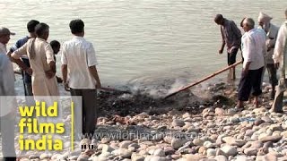 Hindu funeral rites at Chandi ghat of Haridwar [upl. by Ahsieuqal102]