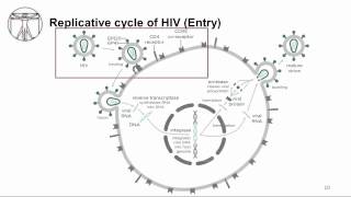 Basic Course in HIV  Pathophysiology and Natural History of HIV Infection [upl. by Yerok]