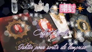 【Oracle Ishtar 】長旅を経て！神秘的で優雅なデッキ 真っ赤なポーチも美しい✨イシュタルオラクル【開封】 [upl. by Rogozen913]