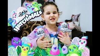 HATCHING HATCHIMALS COLLEGGTIBLES SURPRISE EGGS  SEASON 2  WHO WILL YOU HATCH [upl. by Bronder]