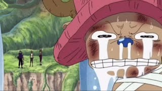 Chopper cute and funny moments  Chopper being cute pt2 [upl. by Akihsat913]