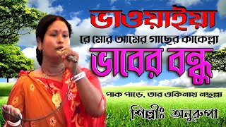 Bhawaiya gaan  Bangla folk song  2024 NewBanglaSong  O MOR AMER আমেরগাছেরকাকেল্লা Anurupa [upl. by Ailecnarf868]