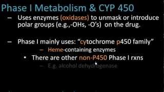 Phase I Metabolism  Pharmacology Lect 7 [upl. by Netsrik]