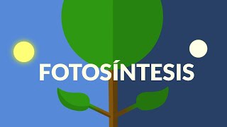 La Fotosíntesis [upl. by Eduino]