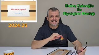 Hücrenin yapısı2 Tek zarlı organeller [upl. by Aisauqal164]