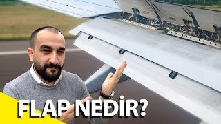 Flap Nedir Flaplar Ne İşe Yarar [upl. by Devol]