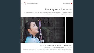 Bassoon Concerto in BFlat Major K 191 I Allegro [upl. by Ravo144]