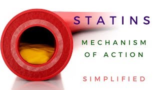 Statins Mechanism Of Action Animated [upl. by Nylanaj]