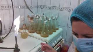 How it works Blakeslea trispora fermentation  Как это работает ферментация Blakeslea trispora [upl. by Aileno413]