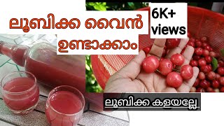 How to make loobikka wineലൂബിക്ക ഉണ്ടെങ്കിൽ കളയല്ലേ കിടിലം tasteൽ wine ഉണ്ടാക്കാംloobikkawine [upl. by Adnyc]