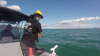 Smartwave 4200 First Fish on new boat [upl. by France]