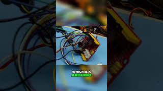 Build a Touch Controlled Laser Shark DIY Fun displaysolutions lcdpanel [upl. by Disini108]