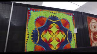 35 AQS Best of Show Quilts 1985  2019 at AQS QuiltWeek  Fall Paducah [upl. by Aicilak]