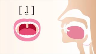 ɺ̼  voiced apical labial lateral tap [upl. by Hazrit663]