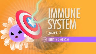 Immune System Part 1 Crash Course Anatomy amp Physiology 45 [upl. by Leahcam]