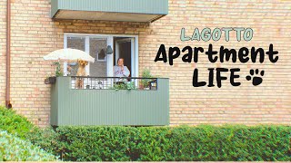 Lagotto Romagnolo  Daily Routine of a dog living in an apartment [upl. by Nuahsor]