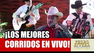 ¡El Corrido de Domingo Corrales en Vivo  Pedro Rivera [upl. by Sleinad]