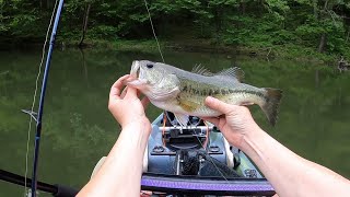 Quest for a hat pin  citation Redear and PB bass at Greenbo kayakfishing bass bassfishing kayak [upl. by Hoopes]