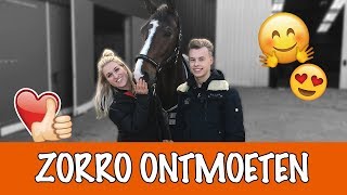 Springen met Gino en zijn paard  PaardenpraatTV [upl. by Anailuj]