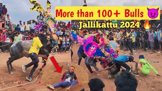 ஜல்லிக்கட்டு 🔥😈 jallikattu 2024  Denkanikottai [upl. by Eimyaj]