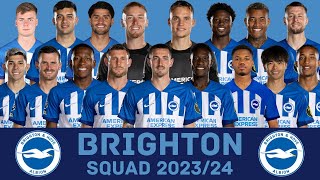 BRIGHTON amp HOVE ALBION Squad Season 202324  Brighton  FootWorld [upl. by Ailaroc]