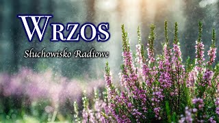 Wrzos  Słuchowisko Radiowe [upl. by Aidahs]