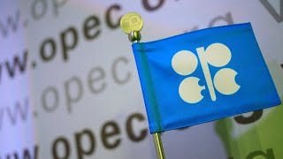 OPEC Argues Against Negative Sentiment in Oil Market [upl. by Bainter]