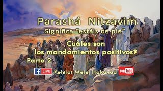 Parashá Nitzavim significa “estáis de pie”Parte 2 [upl. by Box]