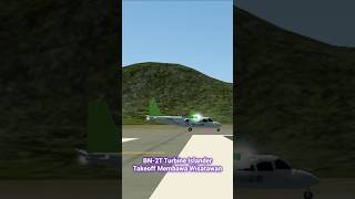 BN2T Turbine Islander Takeoff aviation airplane pesawat airport shorts [upl. by Fletcher488]